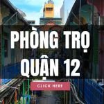 Nhóm Facebook Thuê Căn hộ - Phòng trọ Quận 12 (2)